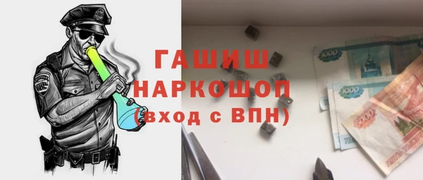 индика Богданович